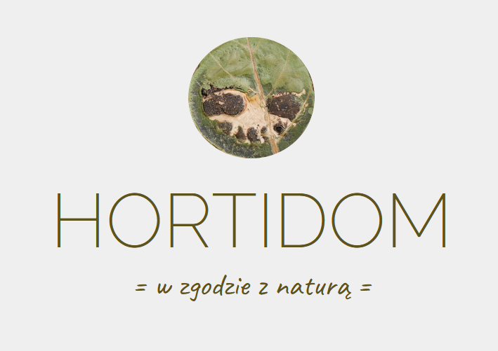 Jakub Czyzycki - Portfolio